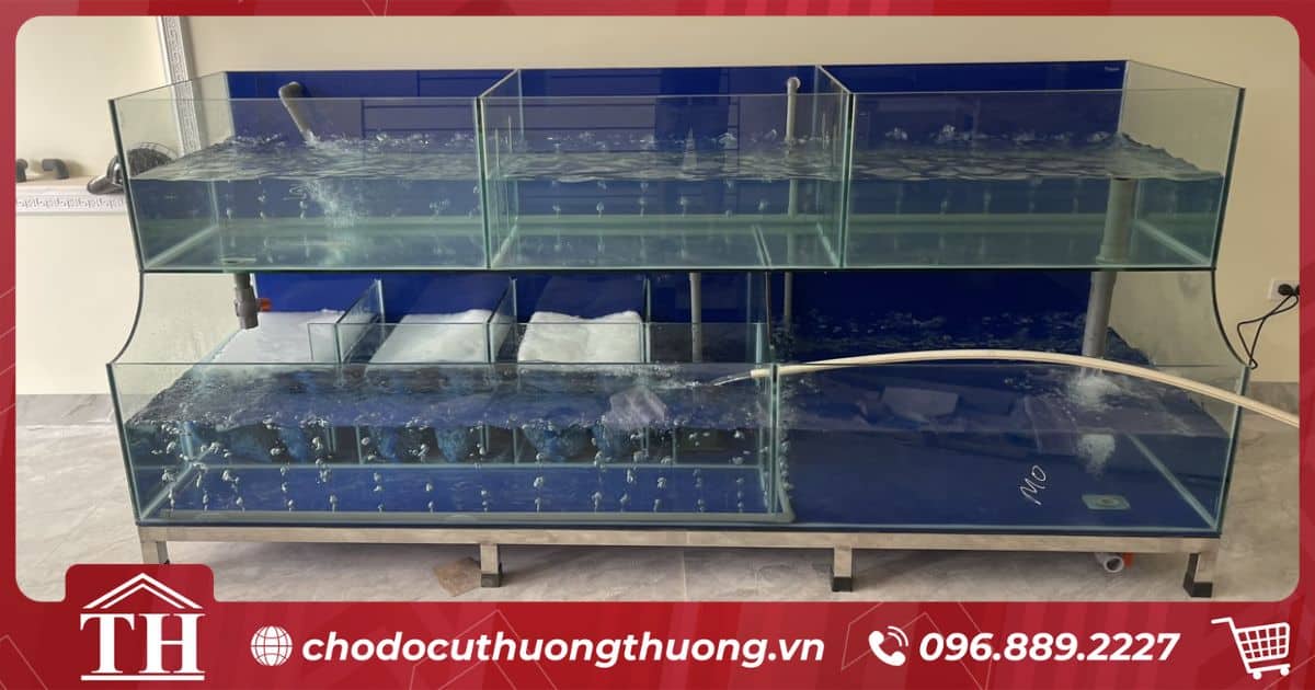 Bể hải sản 2 tầng
