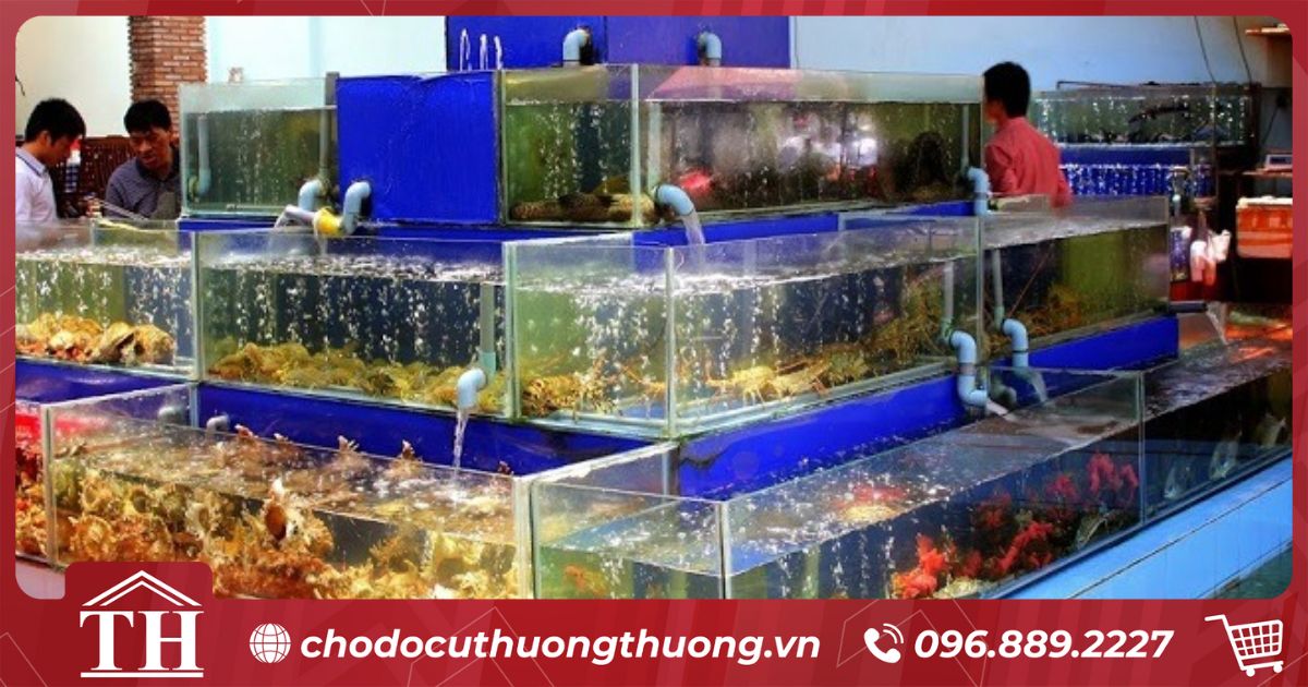Bể hải sản 3 tầng tại nhà hàng