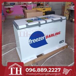Tủ đông Darling DL- 4999W2