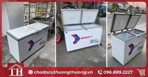 Mua tủ đông cũ tại bình dương avt