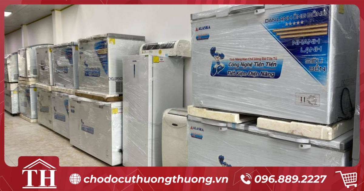 Tủ đông cũ tphcm - Các loại tủ alaska
